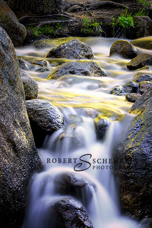Overcast fall day on Cascade Creek near Mt. Evans, Colorado.
