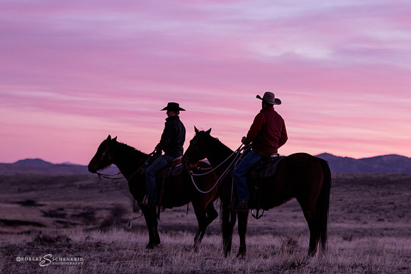 Cowboys